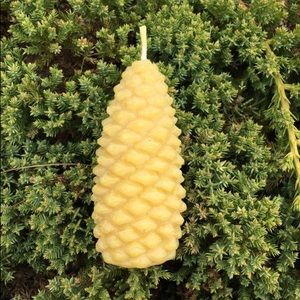 Big pine cone beeswax candle